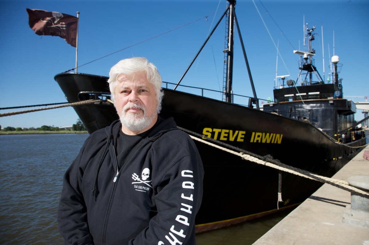Stuart Gleeson SEA SHEPHERD – SGTV