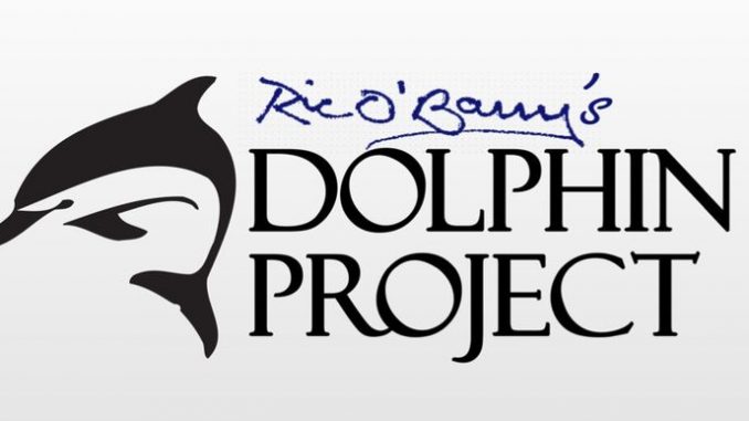 Ric-obarry-dolphin-Project-678x381