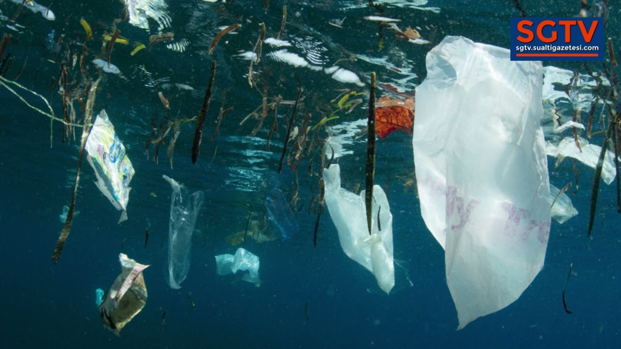 50 Years of Garbage and We Still Don’t Know What to Do - SGTV