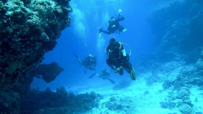 dive-813028