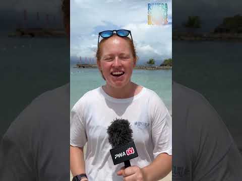 WE ARE LIVE!Elimination 1 of the Riviera Guadeloupe Windsurf World Cup is underway tune into th…