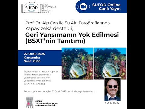 Su Altı Fotoğraflarında Yapay zekâ destekli, Geri Yansımanın Yok Edilmesi