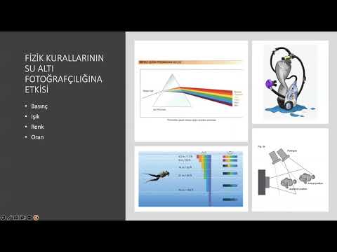 Öğrenciler için Su Altı Fotoğrafçılığı Tanıtımı