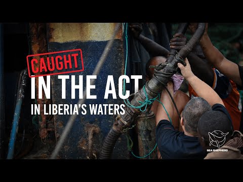 Shocking Discovery in Liberia: Two Vessels Busted for Illegal Operations