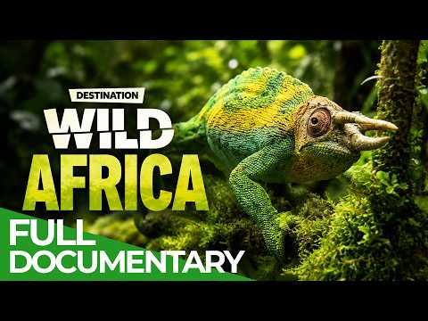 Destination Wild: Rwanda – Heart of Africa | Free Documentary Nature