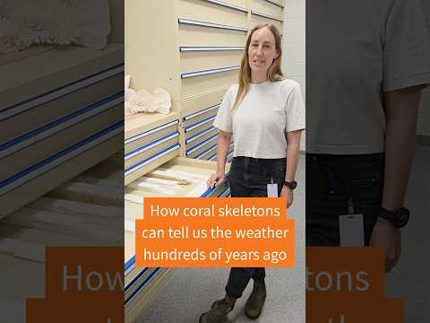 Coral skeletons can tell us the weather centuries ago