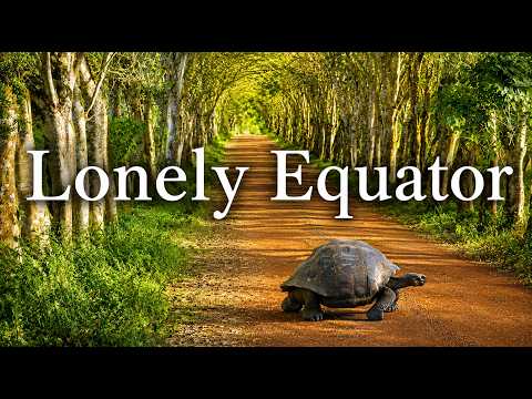 The Last Tortoise and the Fight to Survive | Equator 4K
