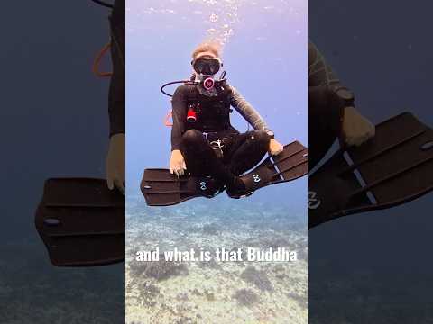 Nothing wrong with the Buddha pose underwater if ya have the rest of it down 🤿🧘👌 #scubadiving