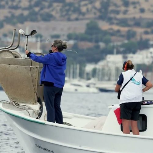 Bodrum’da EurILCA Europa Cup Yarışları Tamamlandı!