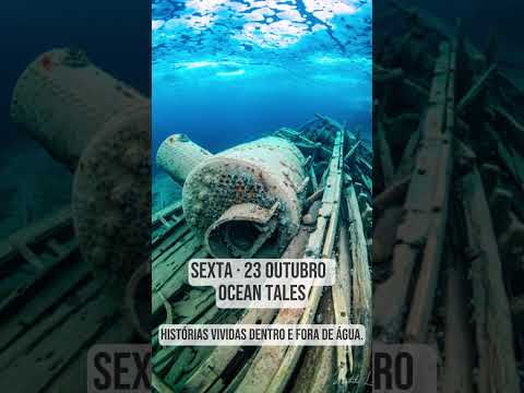 Há Histórias Que Merecem Ser Ouvidas ao Vivo #divingtalks #travel #letstalkaboutdiving