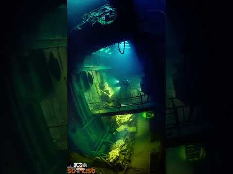BE THERE   Underwater Photography Collection port