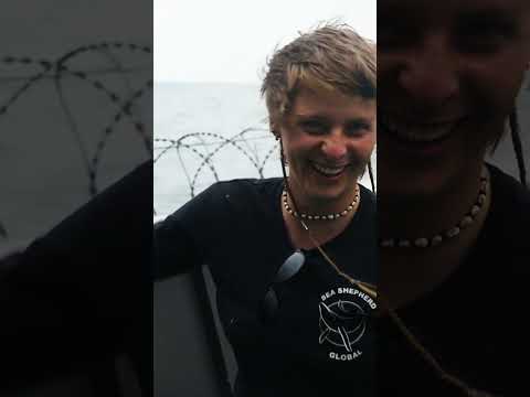 Your Next Chapter Could Be At Sea!