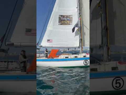 #GGR2026 | Matt Woodside | Cape George 36 “Tipi Haere” |  #sailing #startday