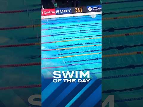 First a World Cup Record from Kornev 👀 #swimming #record #swimoftheday #worldaquatics
