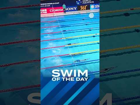 The 100.000 $ swim 🤯 #swimming #bacsktroke #battle #worldcup #worldaquatics
