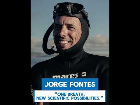 CAN DIVING HELP SAVE THE OCEAN? 🌊