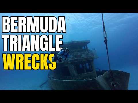 We Found These Shipwrecks in The Bermuda Triangle