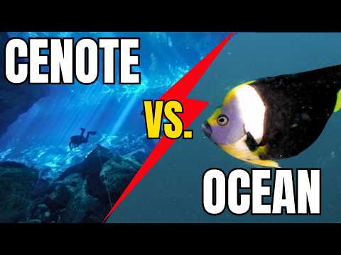 Diving CENOTES or OCEAN in MEXICO?! Which is better?